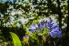 8/DSC_3138  site.jpg